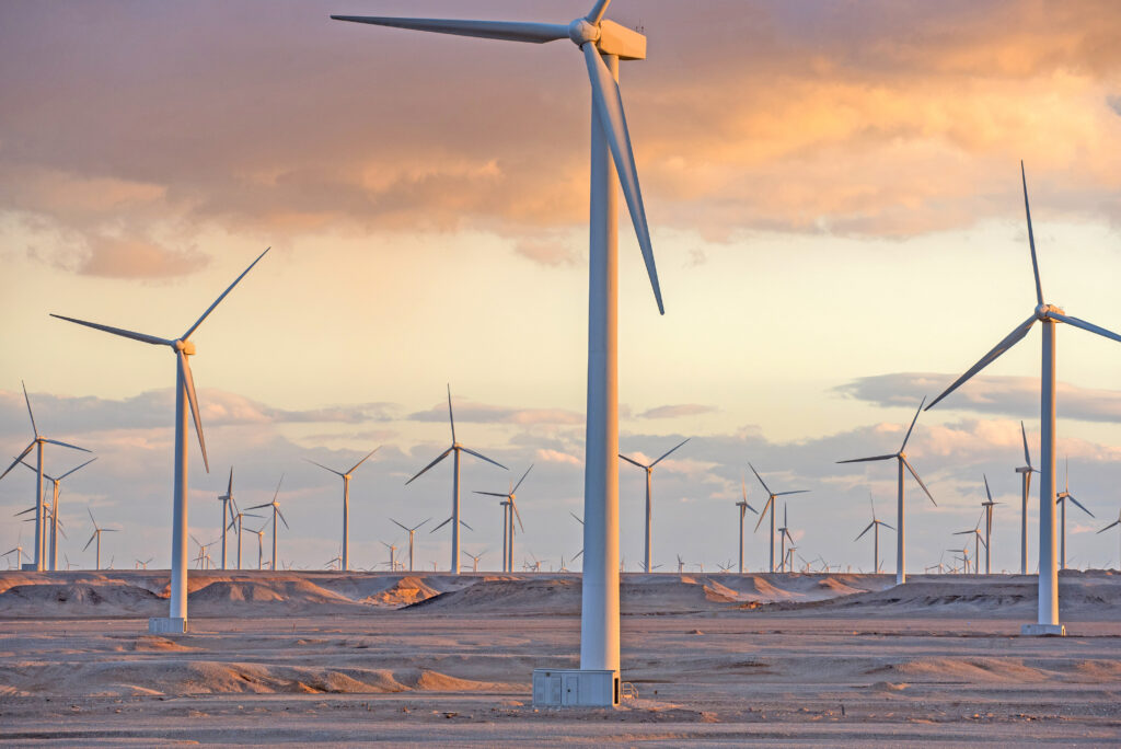 wind farm at sunset moment, egypt